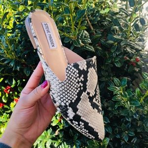 Steve Madden Snake Print Mules